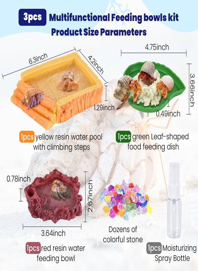 NestBasics 5 Pack Hermit Crab Water Pool Hermit Crab Food Bowl Dish Reptile Terrarium Water Bowls Reptile Starter Kits Accessories for Hermit Crab Leopard Gecko Frog Spider Lizard Turtle Bearded Dragon etc - Image 2